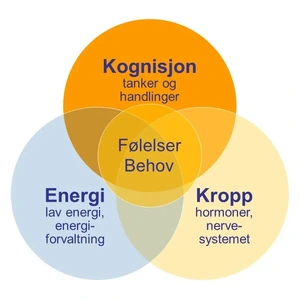 Årsaksbehandling